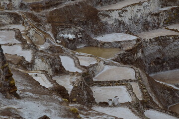 Terraced salt pans also known as (Salineras de Maras), among the most scenic travel destination in...