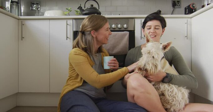 Caucasian lesbian couple holding coffee cups playing with their dog sitting in the kitchen at home