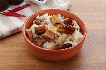 Roasred eel with steamed rice