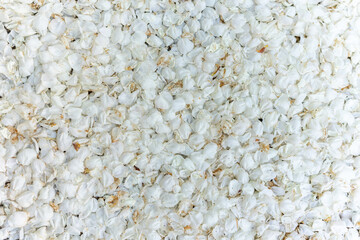 Many petals of delicate spring flowers created a natural background