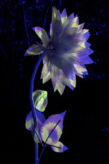 Artificial synthetic flower illuminated by colored laser