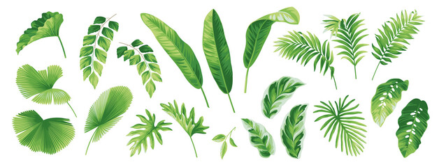 Tropical leaves collection. Hawaiian plants set. Botanical illustration. Vector elements isolated on a white background.  © Anna Sm
