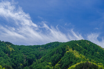 Naklejka premium 新緑の山と青空