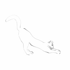 Hand drawn cat. Vector illustration