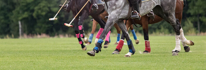 Close-up of horses' feet and a mallet for hitting the ball in a championship equestrian polo game....