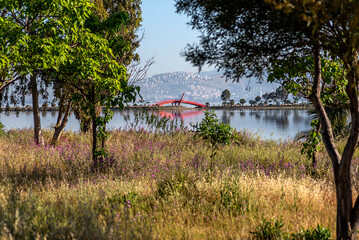 Izmir City Forest is like the lungs of the city in the city. The flowers blooming on the trees in spring, the flamingos and other birds in the lagoon offer a magical viewing pleasure.