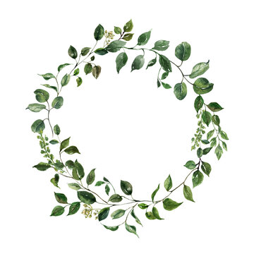 Watercolor lush green leaves and branches wreath. Circle-shaped greenery frame, botanical illustration.