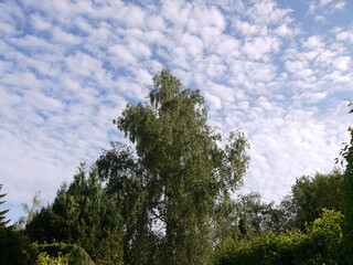 Obraz premium In der Natur