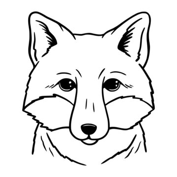 Cute Fox Line Art. Fox sketch vector illustration on white background. Hand-drawn portrait of fox's head. Good for posters, t shirts, postcards.