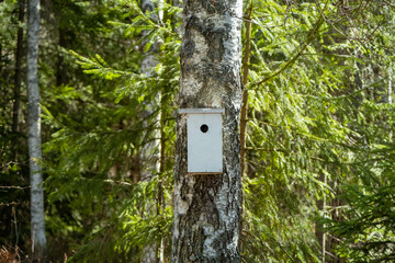 a beautiful white bird house in a tree in the park