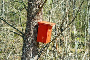 a beautiful red bird house in a tree in the park