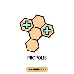 propolis icons  symbol vector elements for infographic web