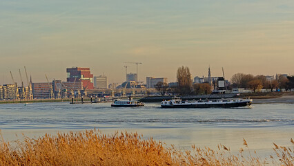 Naklejka premium Antwerp skyline from across river Scheldt, with MAS museum, old industrial cranes and new residential skyscrapers in warm evening light