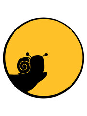 Klippe Mond Schnecke 