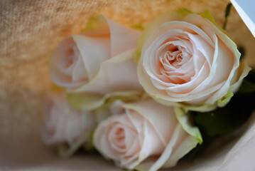 Bouquet de roses