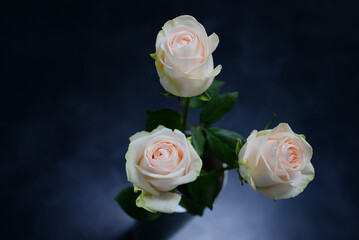 Obraz premium Roses dans un vase