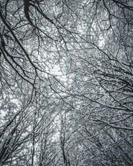 Winter is here