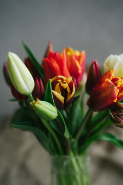 Bouquet of beautiful different varieties of tulips. Beautiful flowers in a vase. Spring bouquet. Bouquet for birthday, Mother's Day, International Women's Day, Valentine's Day. Vertical photo.
