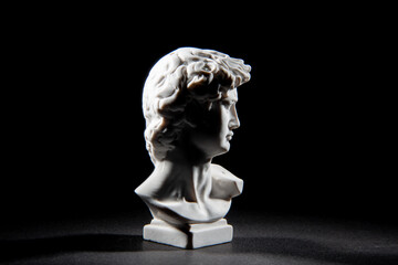 male statue bust david michelangelo