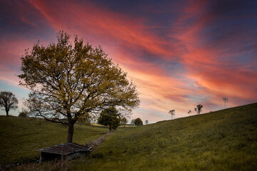 Adobe Photoshop Clouds