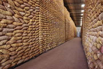 Sacos de amendoins , armazenamento 