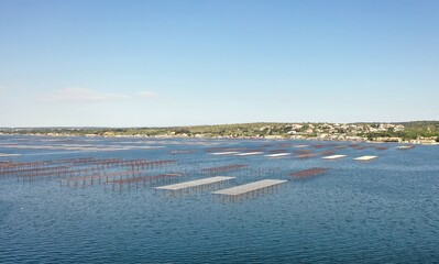 survol des parcs à huitres à Sète au dessus du bassin de Thau en Occitanie