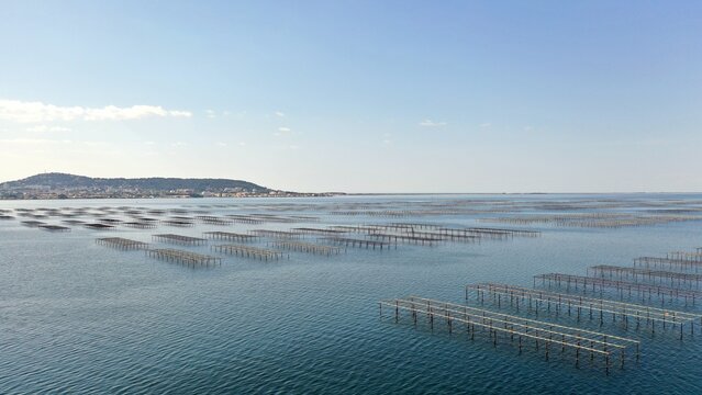 survol des parcs &agrave; huitres &agrave; S&egrave;te au dessus du bassin de Thau en Occitanie