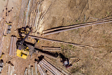 Aerial view on loading wood logging transportation on transport logging forest industry