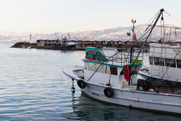 Fototapeta Fishing boats moored in Arakli, Trabzon, Turkey obraz