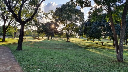 A paz de um novo mundo