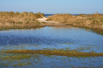 dunes behind a puddle at the North Sea coast in Schillig, Germany