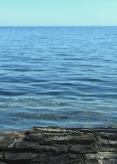 beach log and the horizon over water