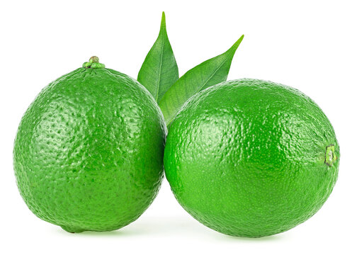 Fresh lime fruits with green leaves isolated on a white background. Citrus lime fruit.