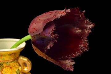 Van Gogh Tulip Trio 12