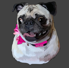 pug with a bow