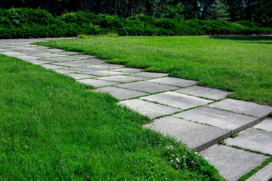 garden path made of square tiles overgrown with grass in a park with a green lawn close-up of the way on park with meadow and plants lit by sun, nobody.