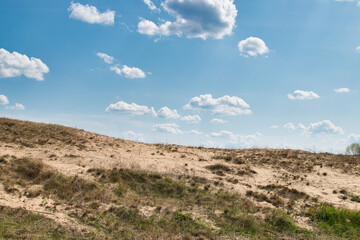 amazing podlasie, sandy beach near the river Narew in podlaskie voivodeship
