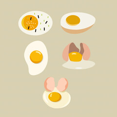 Set of egg flat illustration