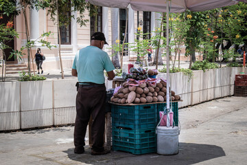 Hombre mexicano de espaldas, adulto mayor atendiendo puesto ambulante de mamey en la banqueta. 