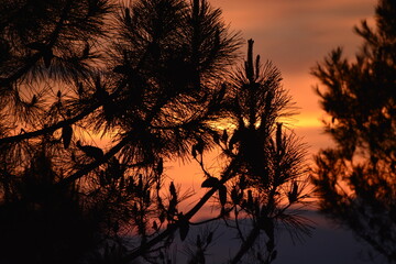ATARDECER