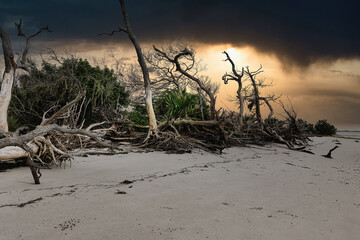 dark clouds over abandoned beach in Florida, Cedar Key