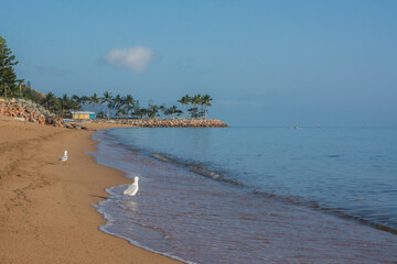 Townsville beach