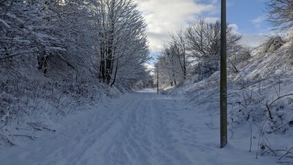 Snowy Path