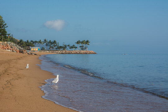 Townsville Beach