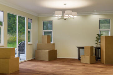 Several Cardboard Moving Boxes, Chair and Plant on Floor of Empty Room of House with Blank Wall.