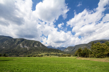 Typical alpine agricultural landscape with grasslands and meadow fiels in a mountain glade in Triglav national park, in Stara Fuzina, by lake bohinj, in middle of a forest of julian alps in Slovenia © Jerome