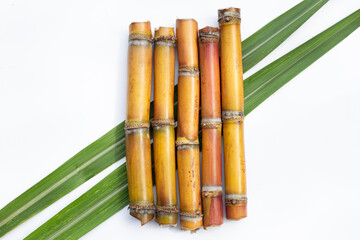 Sugar cane on white background.
