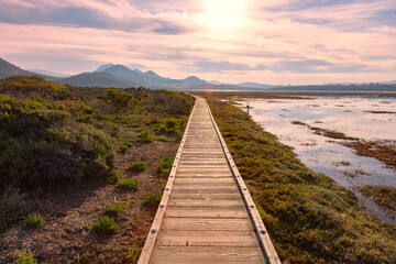 Obraz premium Golden, pink sunrise over a boardwalk through wetlands. Looking down the straight boardwarlk which is vanishing in the horizon