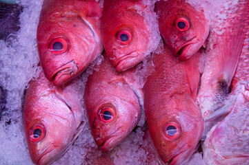 Red Fish
