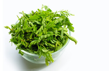 Young tamarind leaves for cooking on white